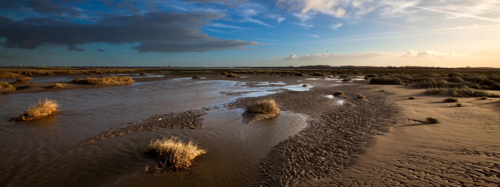 View over a saltmarsh and coast with low clouds.