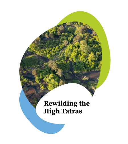 Rewilding story book