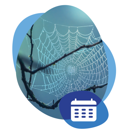 photo of a spider web with icon of a calendar