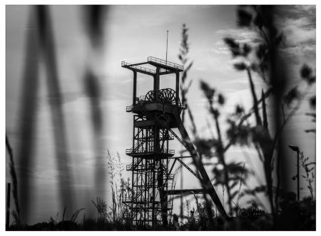 Case studies Ruhrgebiet - black and white photo shot lowdown through blades of grass
