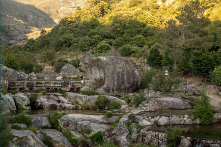  Antarr, portugal, stoney terrain in the hills with sunlight on the green shrubs