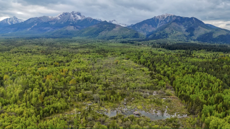 Case studies Tatras - mountains with greenery and cloudy sky