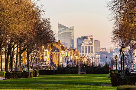 View of grass and trees with the cityscape of Brussels in the background.