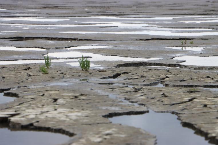 Mudflats with cracked mud and pools of water. 